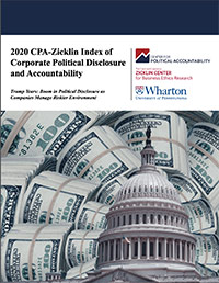 2020 CPA Zicklin index cover